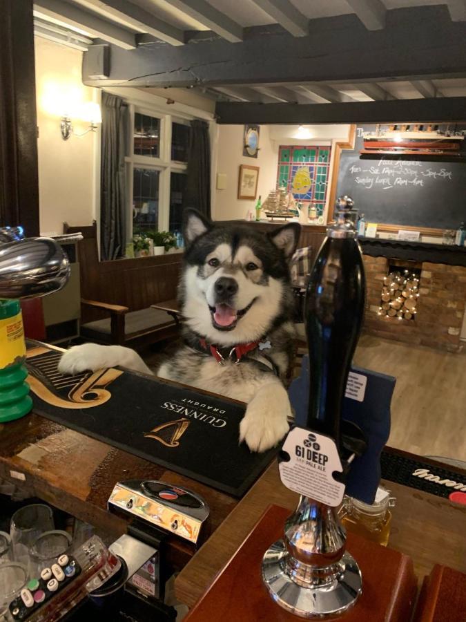 The Old Ship Inn Lowdham 外观 照片